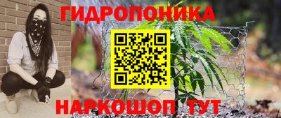 каннабис Дубна