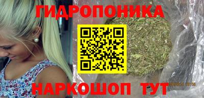дживик Донской