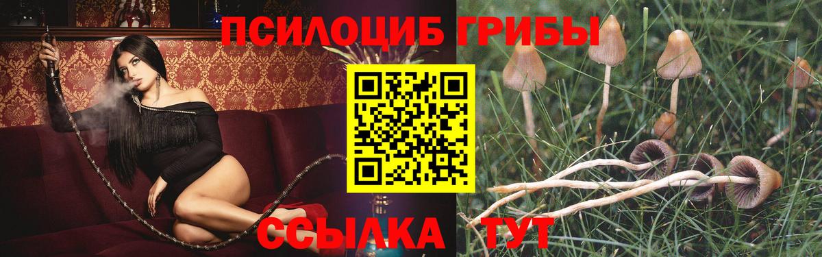 Псилоцибиновые грибы прущие грибы  Галлюциногенные грибы ЛСД  Королёв 