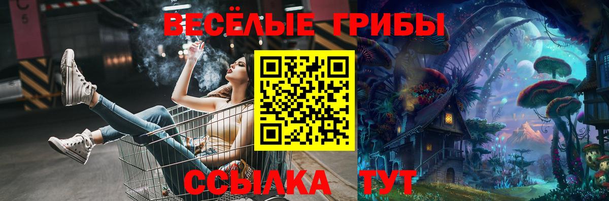 Псилоцибиновые грибы Psilocybe  Вход с VPN  Псилоцибиновые грибы ЛСД  Королёв 